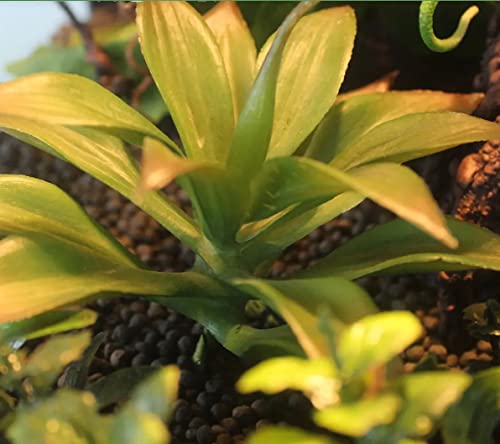 Nomoypet Simulation Artificial Landscaping Plants for Terrarium Aquarium Decoration (NFF-40) - Image 2