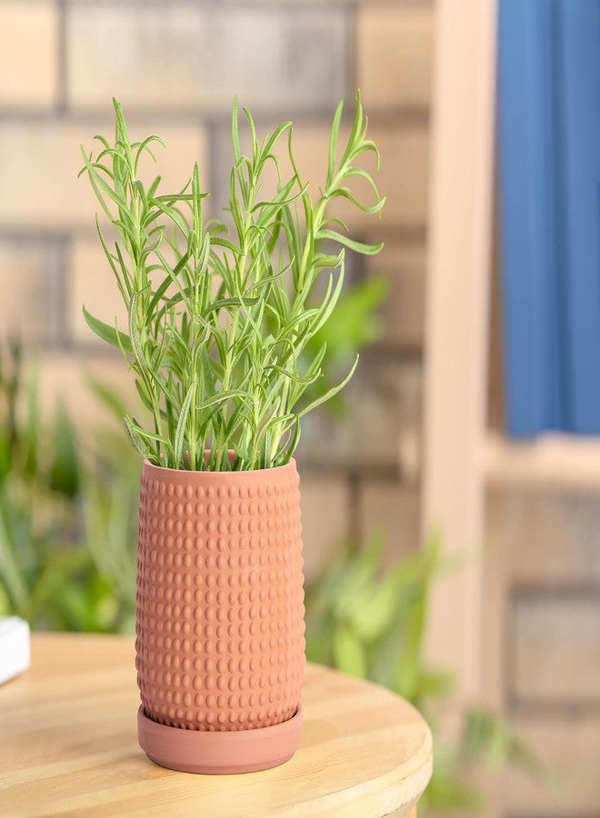 D'vine Dev 4 Inch Terracotta Beaded Planter Pot - Flower Pot with Drainage Holes and Saucers for Indoor Succulent Plants or Flowers,Terracotta, 27-C-Z-7 - Image 2