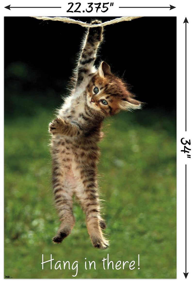 Trends International Kitten Hang In There Wall Poster 22.375" x 34" Bedroom - Image 3