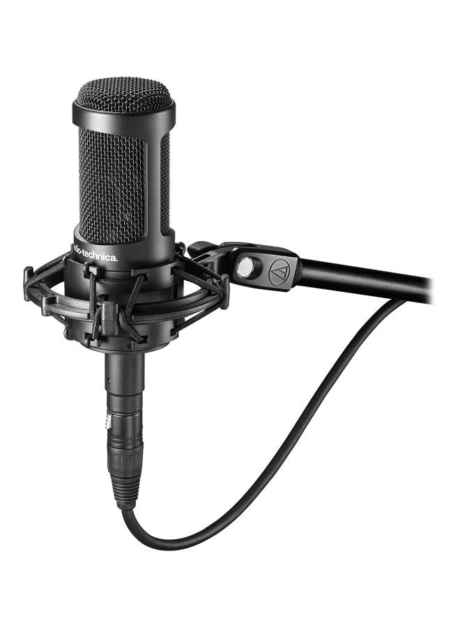 audio-technica Multi-Pattern Condenser Microphone AT2050 Black - Image 2