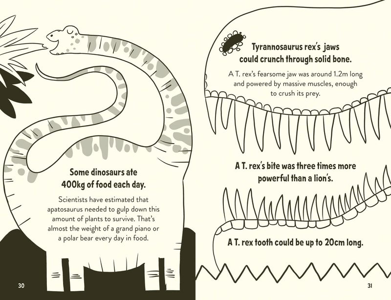 Amazing Facts Every 10 Year Old Needs to Know - Image 5
