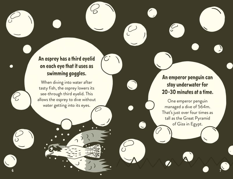 Amazing Facts Every 10 Year Old Needs to Know - Image 4