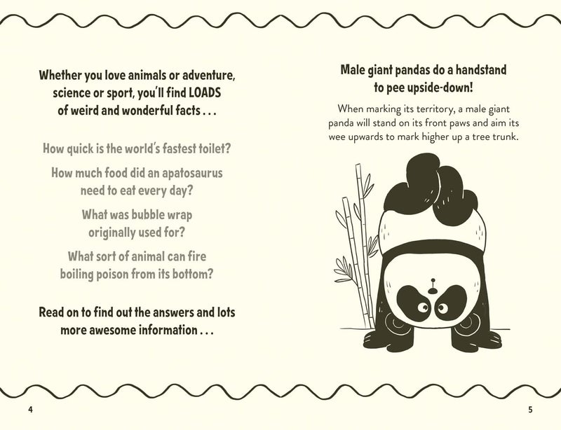 Amazing Facts Every 10 Year Old Needs to Know - Image 3