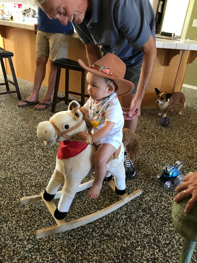 JOYEBUY Western Cowboy Hat for Kids Boys Girl Classic Roll Up Fedora Hat with Buckle Belt (US, Age, 6 Years, 10 Years, Camel) - Image 5