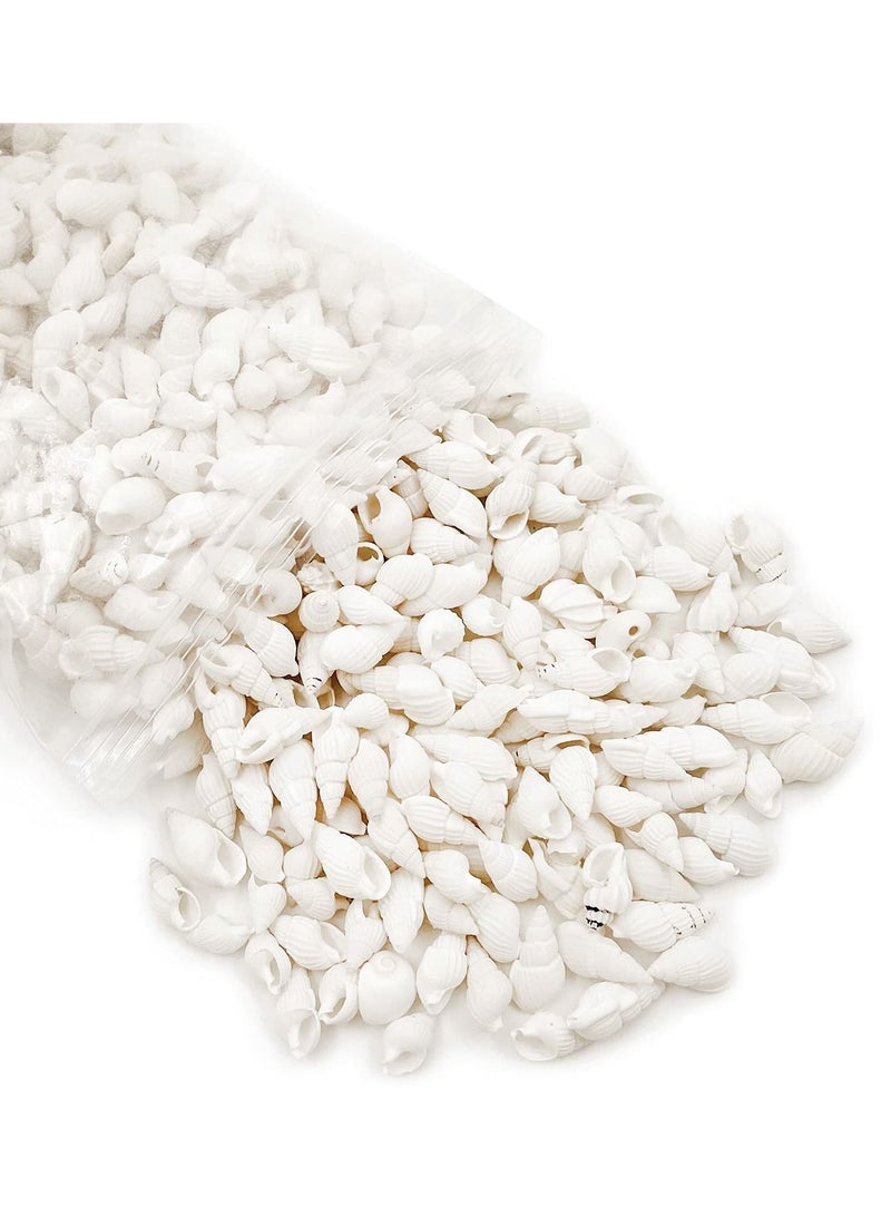 Excefore قواقع صدفية بيضاء من خليج كاي لتزيين المنزل، حفلات الزفاف، الأعمال اليدوية (حوالي 420 قطعة شكل حلزوني) - Image 1