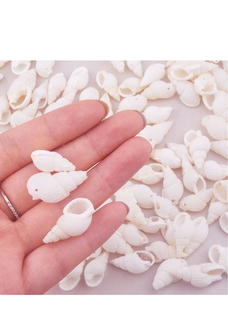 Excefore قواقع صدفية بيضاء من خليج كاي لتزيين المنزل، حفلات الزفاف، الأعمال اليدوية (حوالي 420 قطعة شكل حلزوني) - Image 2