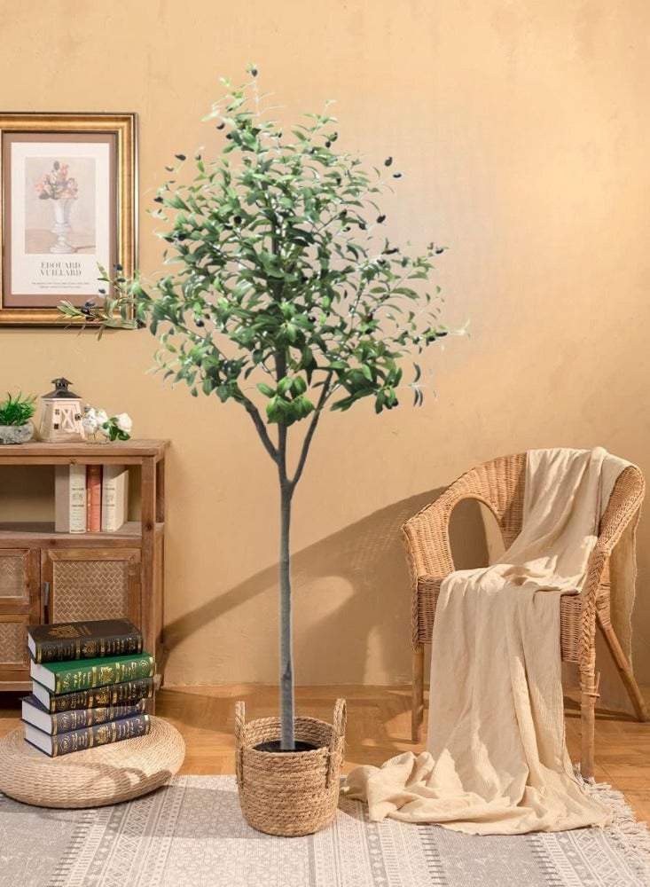 Generic 6FT (180CM) Artificial Olive Tree in Black Plastic Pot - Realistic Faux Potted Silk Plant with Lifelike Branches & Fruits, Perfect for Indoor/Outdoor Home, Office, Garden Decor – Modern Floor Tree for Living Room, Housewarming Gift  - Image 5