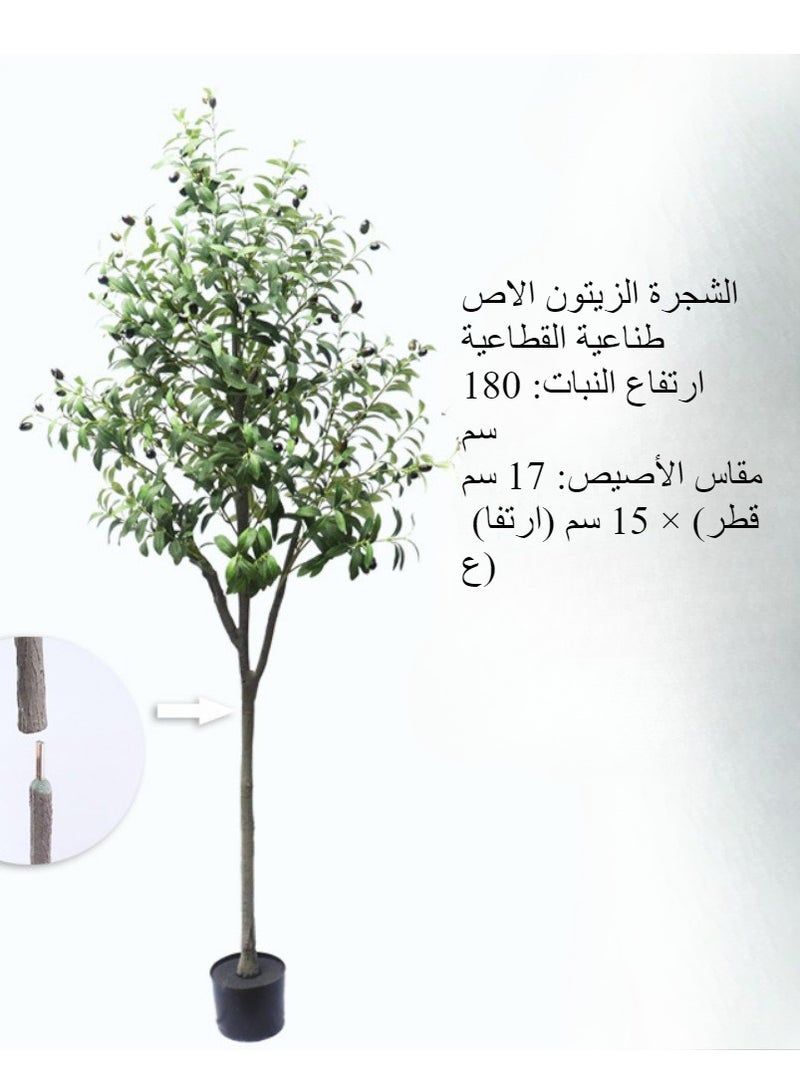 Generic 6FT (180CM) Artificial Olive Tree in Black Plastic Pot - Realistic Faux Potted Silk Plant with Lifelike Branches & Fruits, Perfect for Indoor/Outdoor Home, Office, Garden Decor – Modern Floor Tree for Living Room, Housewarming Gift  - Image 3