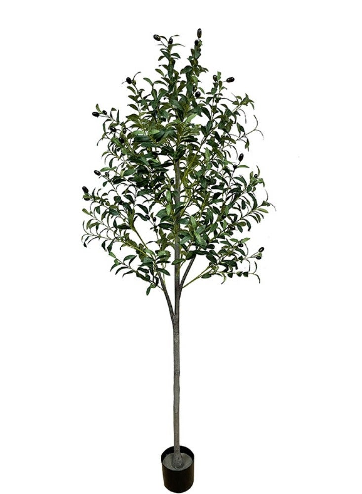 Generic 6FT (180CM) Artificial Olive Tree in Black Plastic Pot - Realistic Faux Potted Silk Plant with Lifelike Branches & Fruits, Perfect for Indoor/Outdoor Home, Office, Garden Decor – Modern Floor Tree for Living Room, Housewarming Gift  - Image 1