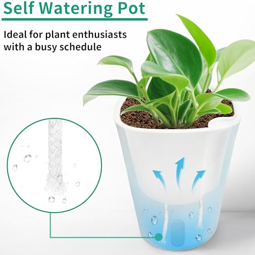TCBWFY 3" Self Watering Pots - 10 Sets Planter Pots for Indoor Plants With Water Level Indicator and Multiple Vents - for House Plants, Flowers, Herbs - Image 4