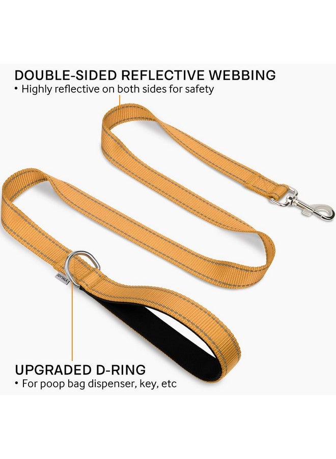 Joytale Joytale Double-Sided Reflective Dog Leash, 6 FT/5 FT/4 FT, Padded Handle Nylon Dogs Leashes for Small & Medium Dogs Walking, Khaki, 4FT  - Image 2
