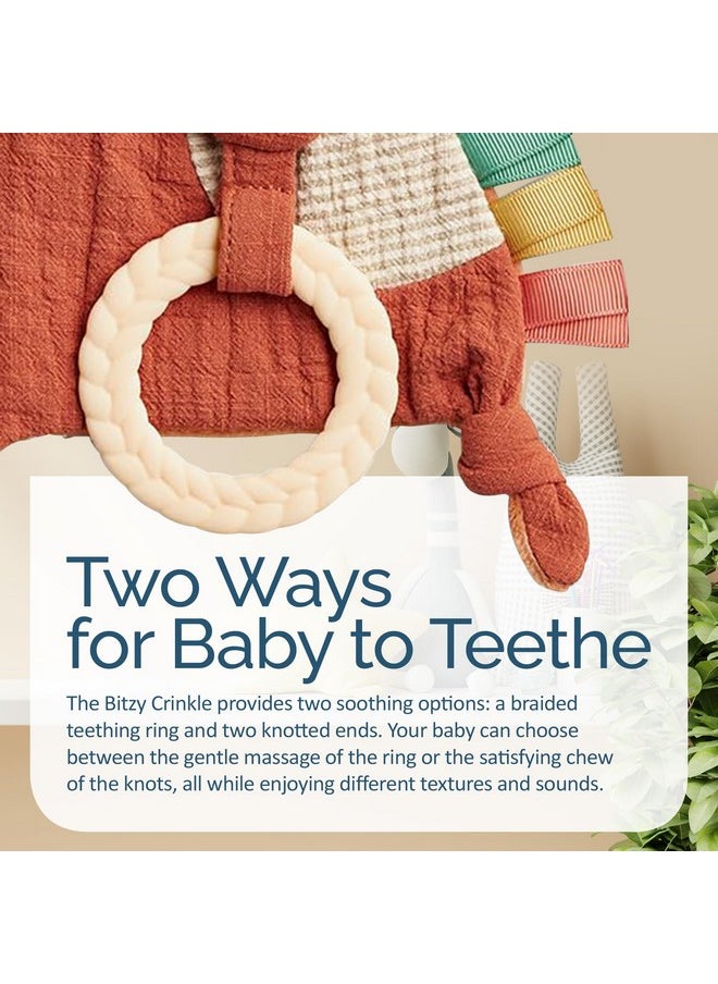 Itzy Ritzy Itzy Ritzy - Bitzy Crinkle Sensory Toy Fox with Crinkle Sound for Babies & Toddlers - Features Soft Braided Teething Ring & Textured Ribbons, Designed for Ages 0 Months and Up, Fox  - Image 3