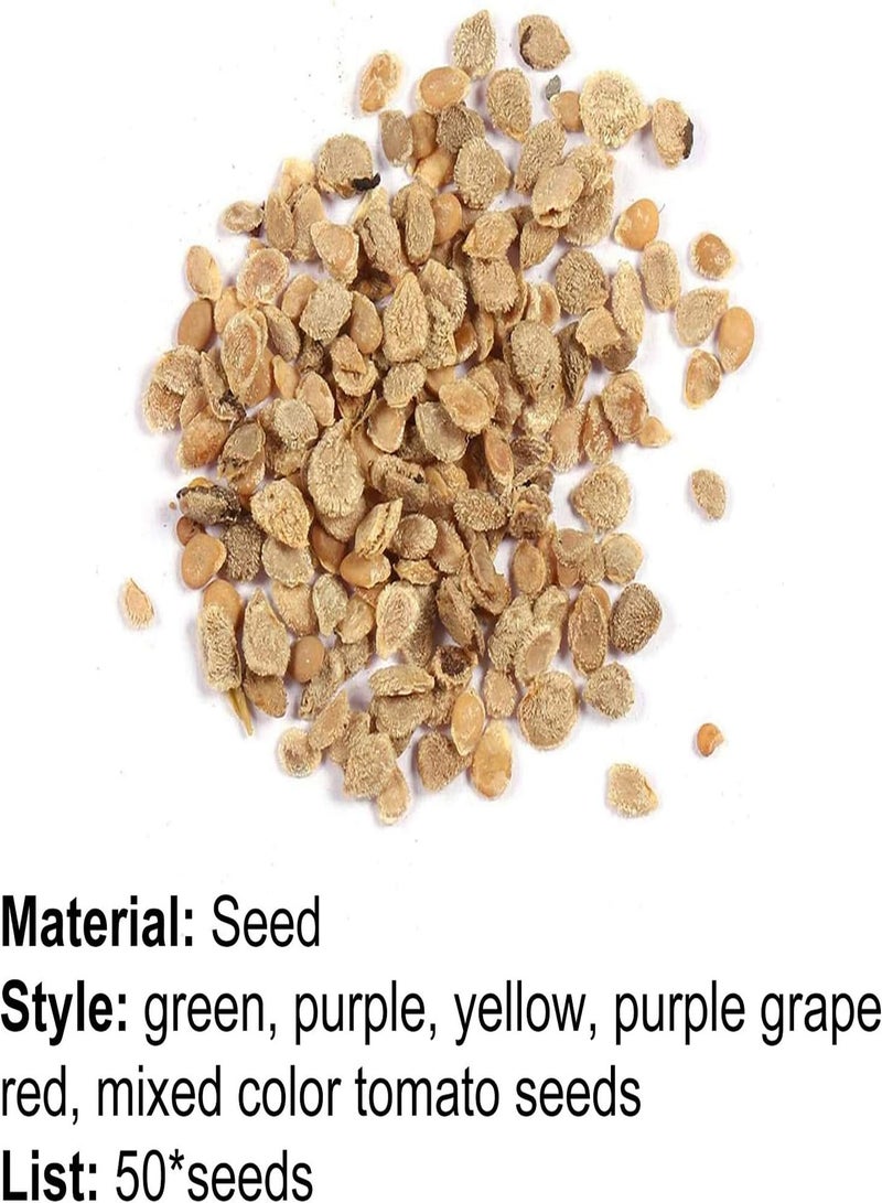 GGOOT 50Pcs/Bag Tomato seeds Edible Life Natural Vegetable seeds Garden Purple Tomato seeds - Image 3