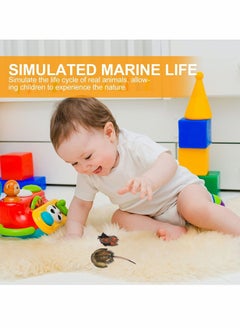 Y&D Limulus Growth Cycle Model, Simulation Marine Life Model Toy Set, Horseshoe Crab Lifelike Toys Suitable for Children Education Ocean Beach Party Gifts (1 Set)  - Image 5