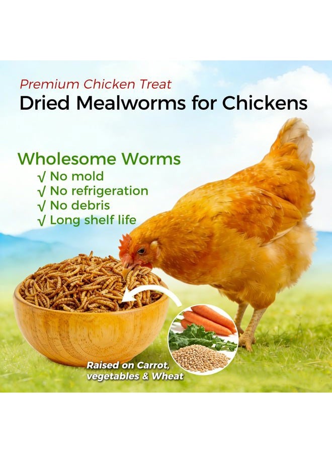 RANZ 2LBS Non-GMO Dried Mealworms for Chickens, High Protein Meal Worms, Premium Chicken Feed, Whole Large Mealworms for Blue Birds, Ducks, Fish - Image 2