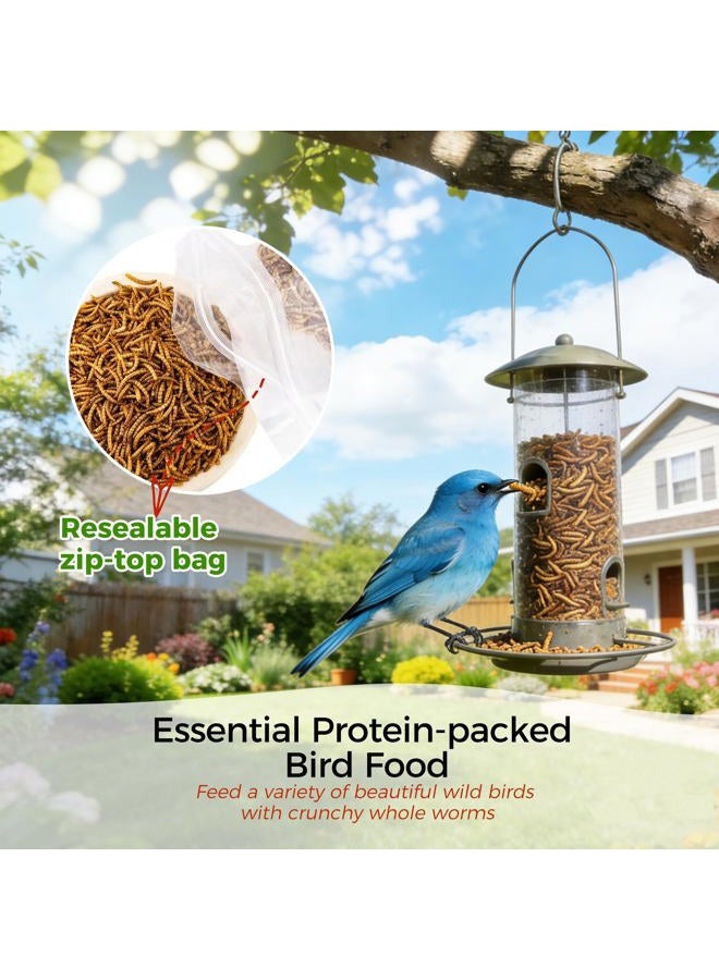 RANZ 2LBS Non-GMO Dried Mealworms for Chickens, High Protein Meal Worms, Premium Chicken Feed, Whole Large Mealworms for Blue Birds, Ducks, Fish - Image 5