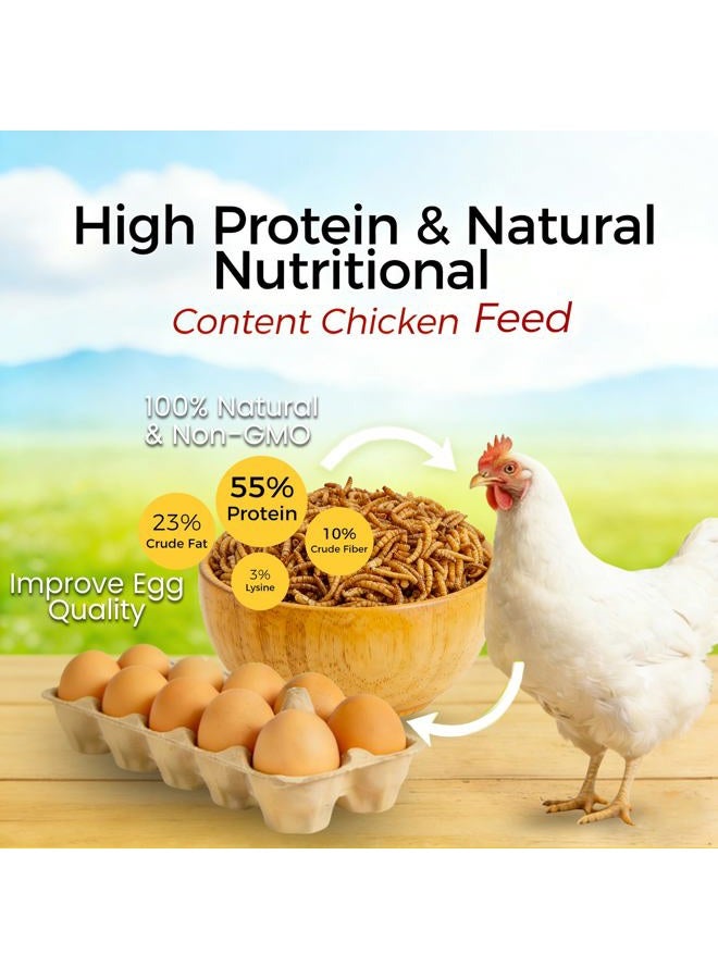 RANZ 2LBS Non-GMO Dried Mealworms for Chickens, High Protein Meal Worms, Premium Chicken Feed, Whole Large Mealworms for Blue Birds, Ducks, Fish - Image 3