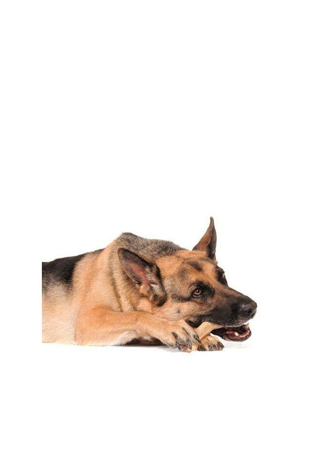 Generic Saway Calcium Bone Chew 2 Inch  - Image 2