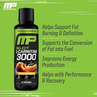 MusclePharm Muscle Pharm L-Carnitine 3000, The Ultimate Liquid L Carnitine  Supplement for High-Performance, Supports Metabolism, Hydration & Energy,  Zero Sugar, Low Calories, Peach Nectarine Flavor, 32 Servings