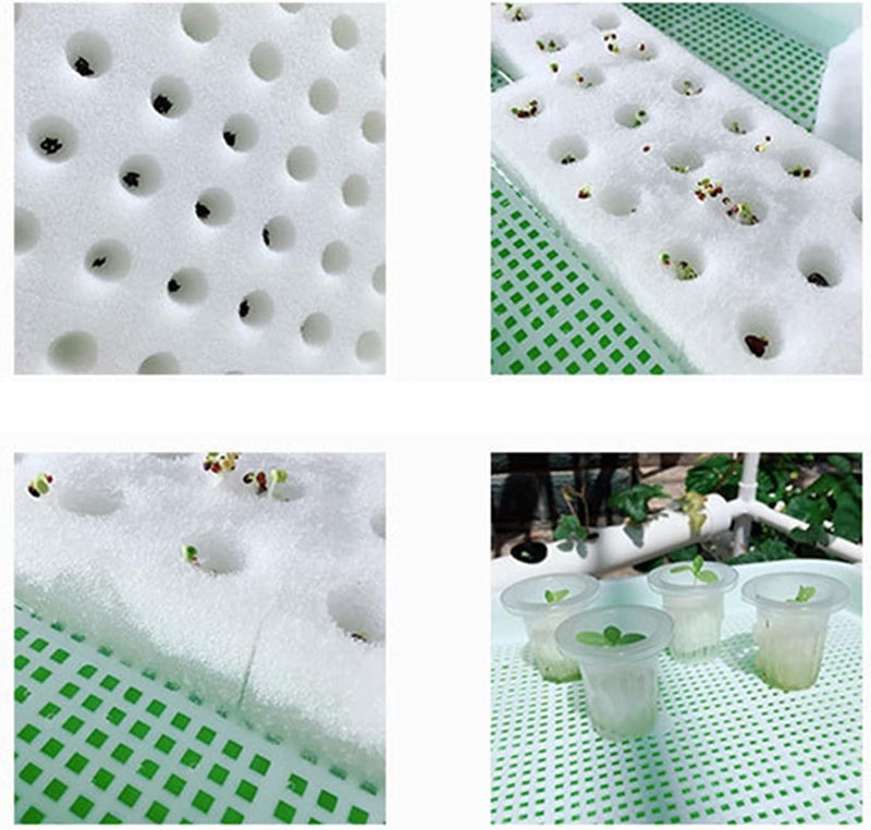 Meridian Hydroponic Square Sponges – PU White, 25 mm Cubes, 4 Sheets (400 pcs) - CT - Image 2