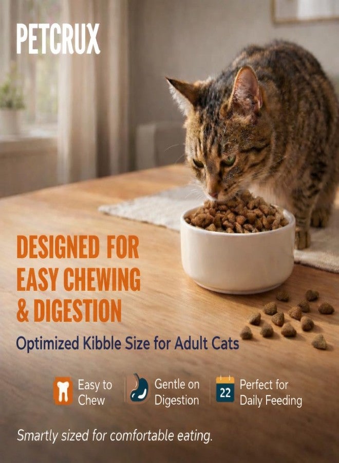 Petcrux Dry Adult Cat Food, Mackerel Fish Flavor, with Omega 3 & 6 and Taurine, Complete & Balanced Nutrition for Adult Cats, 1 kg - Image 5