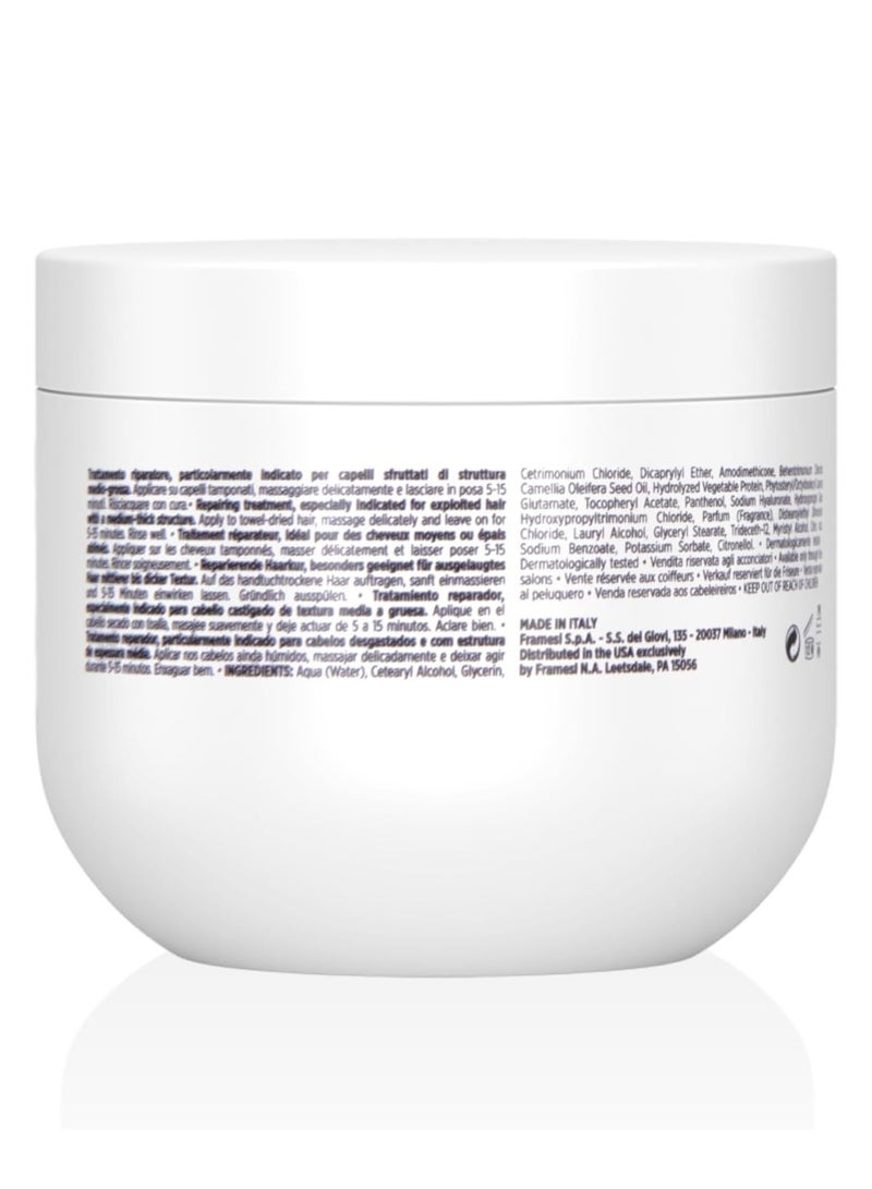 framesi MORPHOSIS - REPAIR RICH TREATMENT 250 ML - Image 2