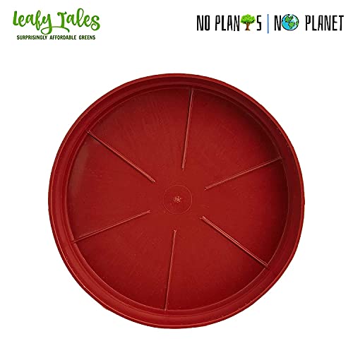 Leafy Tales Planter Bottom Plate/ Gamla Dripping Tray, Terracotta Color Plastic pots | (10-inch, Brown, Pack of 5) - Image 3
