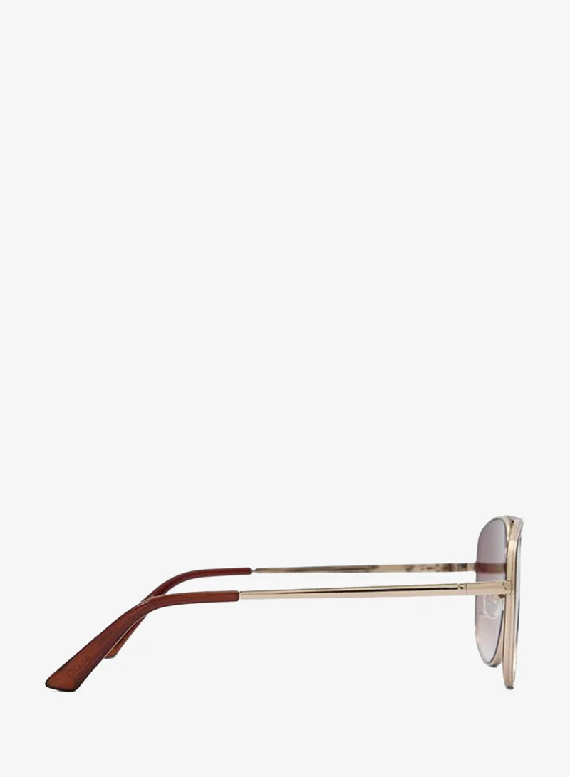 Aldo  Dyaana Ladies Brown Sunglasses for Women | Best Price UAE