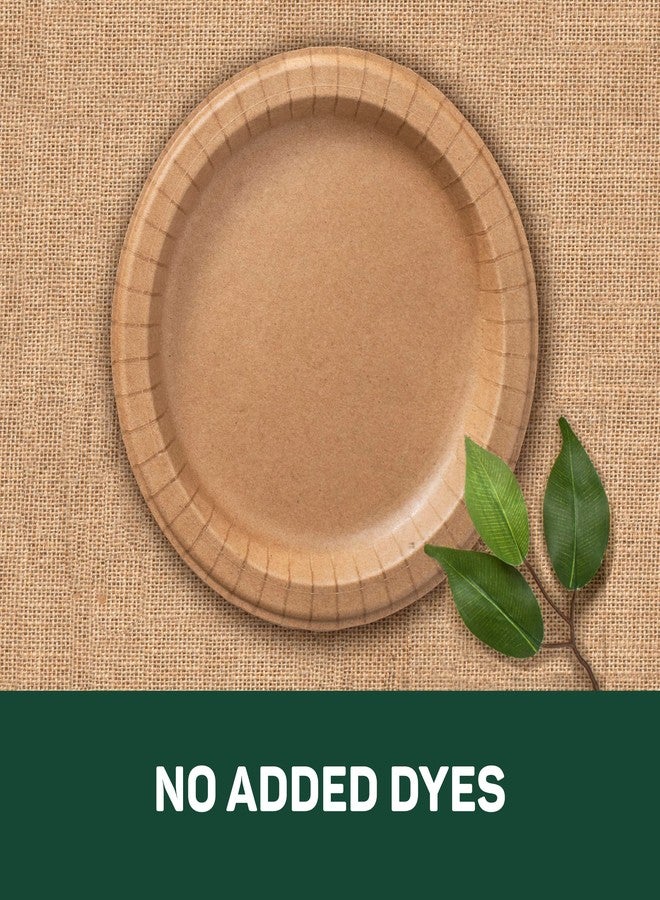 Dixie EcoSmart 100% Recycled Fiber Paper Plates, 10 in, 144 Count (Pack of 4), Large Disposable Plate Great for Breakfast, Lunch, and Dinner Meals - Image 5