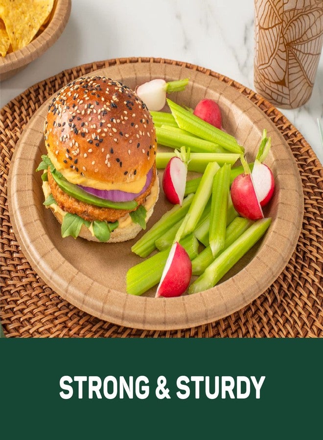 Dixie EcoSmart 100% Recycled Fiber Paper Plates, 10 in, 144 Count (Pack of 4), Large Disposable Plate Great for Breakfast, Lunch, and Dinner Meals - Image 3