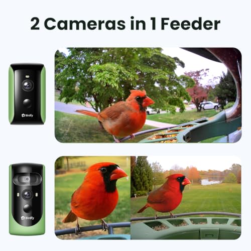 Birdfy 2 Smart Bird Feeder with Camera AI Identifies Bird Species 2K DualLens Side HD Camera for Live Streaming Feeding View SolarPowered Backyard Birdwatching Gift Present - Image 3