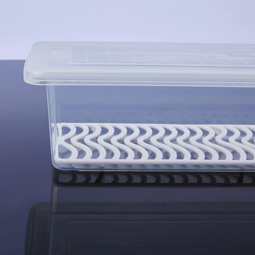 Rylan Plastic Fridge Storage Boxes (Pack Of 3), Fridge Organizer With Removable Drain Plate Tray Keeps Fruits, Vegetables, Meat, Fish Fresh Longer (1500 Ml),White - Image 5