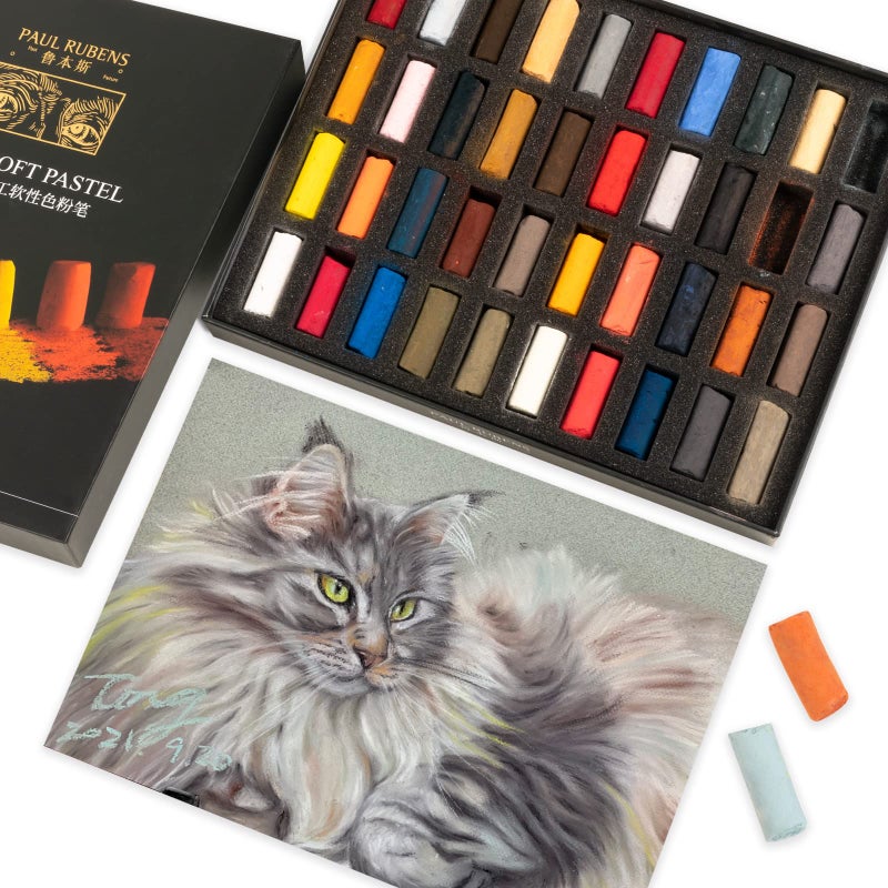 Paul Rubens Professional Soft Pastels 40 Portrait Colors Chalk Pastels Vibrant Smooth and High Adhesion for Painting Drawing Blending Crafting Ideal Art Supplies for Artists Beginners - Image 2