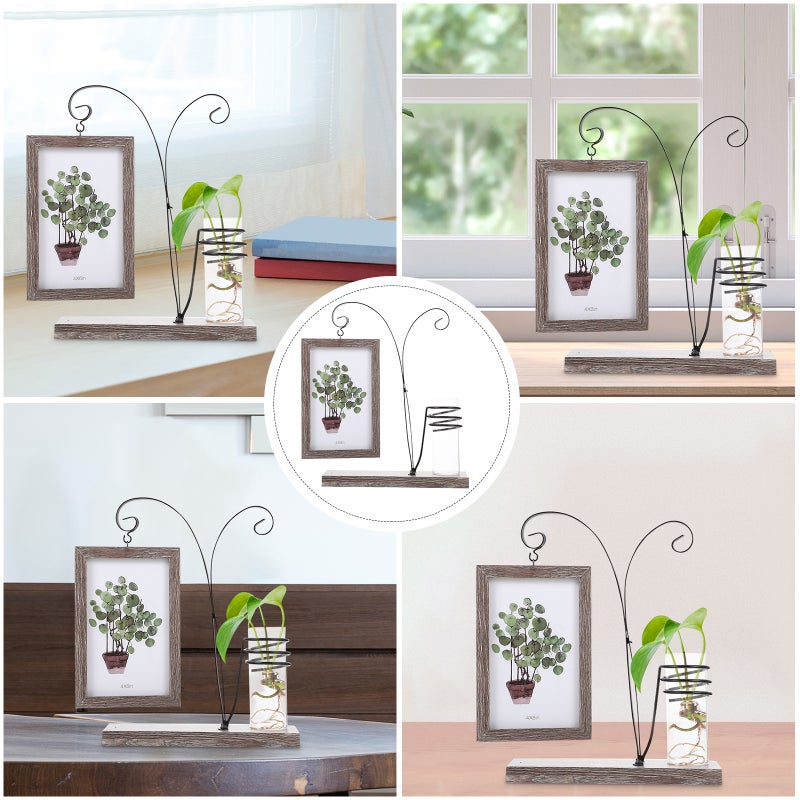 Hydroponics Photo Frame Double-sided Picture Frame Ornament for Home - Image 5