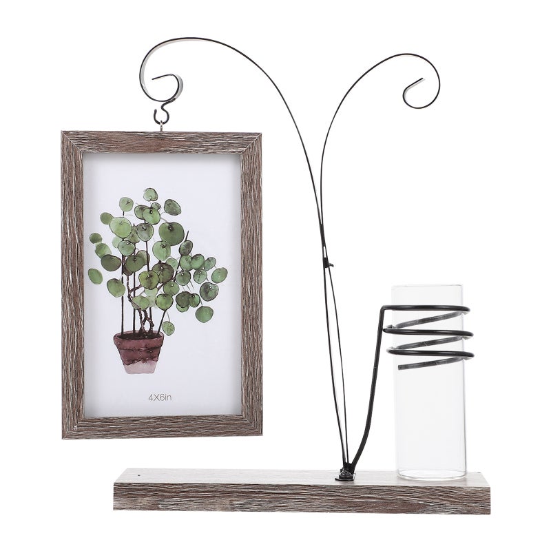 Hydroponics Photo Frame Double-sided Picture Frame Ornament for Home - Image 1
