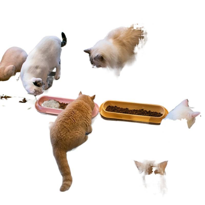Pet Bowl Home Use Feeding Bowl Feeding Accessory Pet Food Bowl Routine Feeding for Cats - Image 2