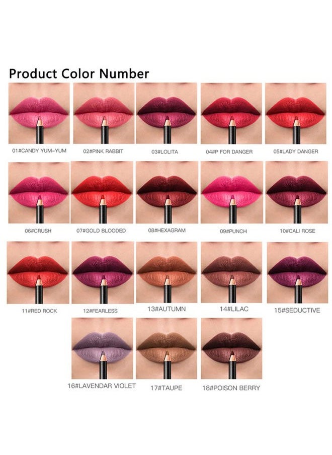 DC-BEAUTIFUL 18 Colors Lip Liners Pencil Set with 2 Pencil Sharpeners, Premium Waterproof Smooth Lip Pencils, Long Lasting Matte Makeup Lipliners  - Image 3