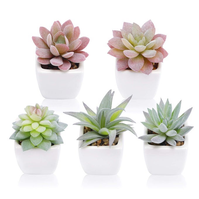 5pcs Artificial Succulent Plants Small Fake Desk Plants Mini Succulents Indoor for Shelf Living Room Bedroom Windowsills Office Home Decoration Include White Ceramic Pots