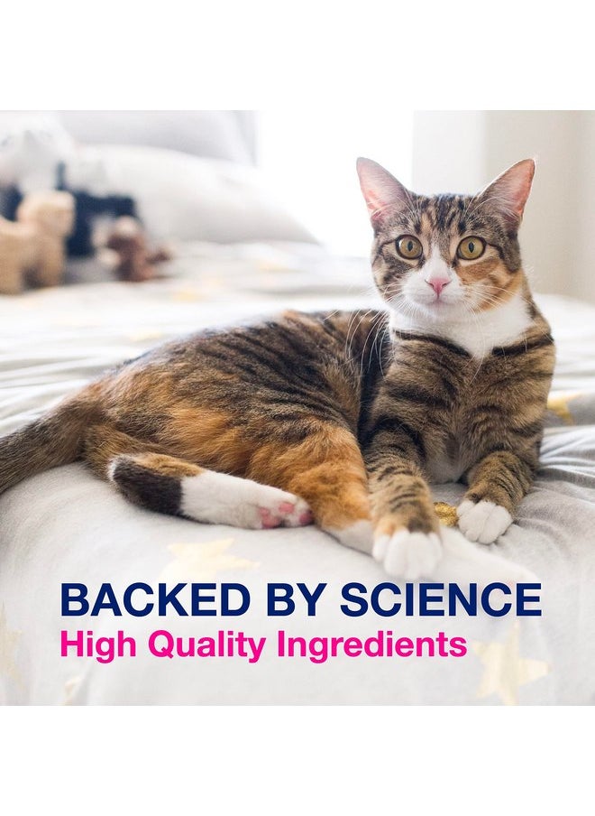 Nutramax Laboratories - Nutramax Proviable Digestive Health Supplement Kit with Multi-Strain Probiotics and Prebiotics for Cats and Small Dogs, With 7-Strains of Bacteria, 15 mL Paste and 10 Capsules - Image 1