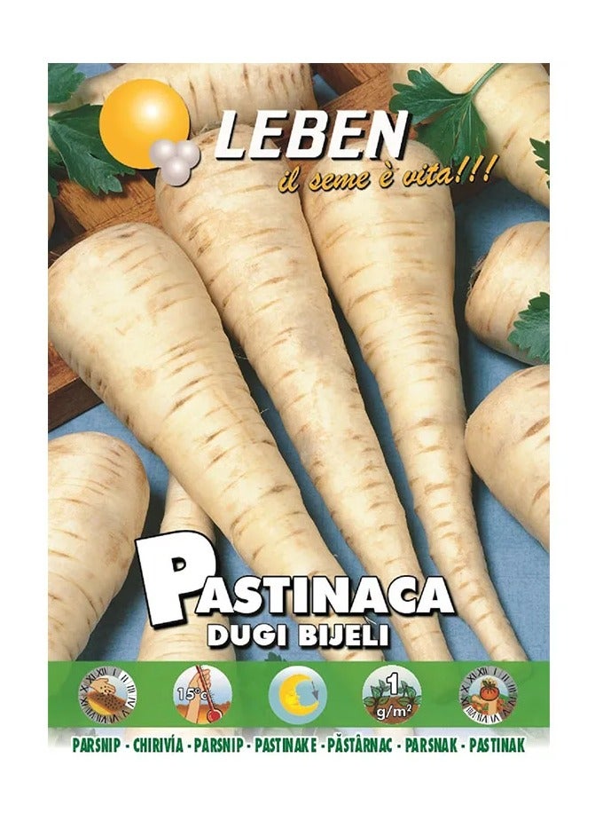 Leben Parsnip (Pastinaca Dugi Bijeli) بذور عالية الجودة مصنوعة في إيطاليا