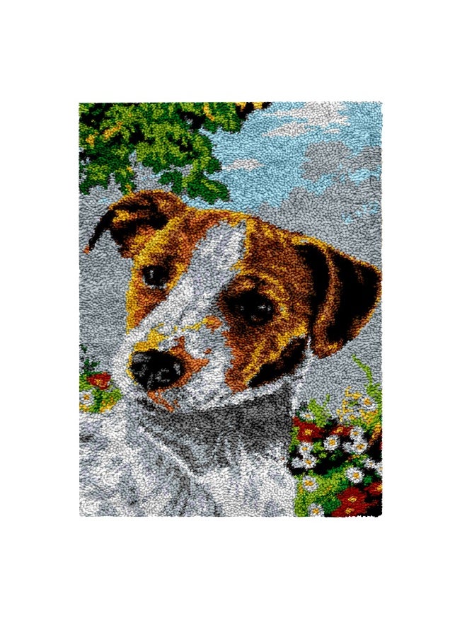 Loquat DIY Latch Hook Kits Rug Embroidery Carpet Set Needlework with Crochet Needlework Crafts Shaggy Latch Kits for Adults/Kids Embroidery Kit  - Image 1