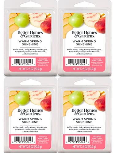 Nitro شموع شمع الربيع الدافئ من بيت وحدائق أفضل - عبوة 4 قطع - Image 1