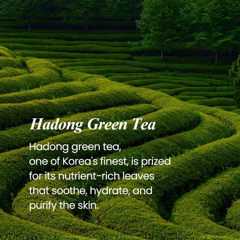 DERMALOGY by NEOGENLAB ديرمالوجي من نيوجين لاب منظف رغوي وزيتي بالشاي الأخضر - Image 5