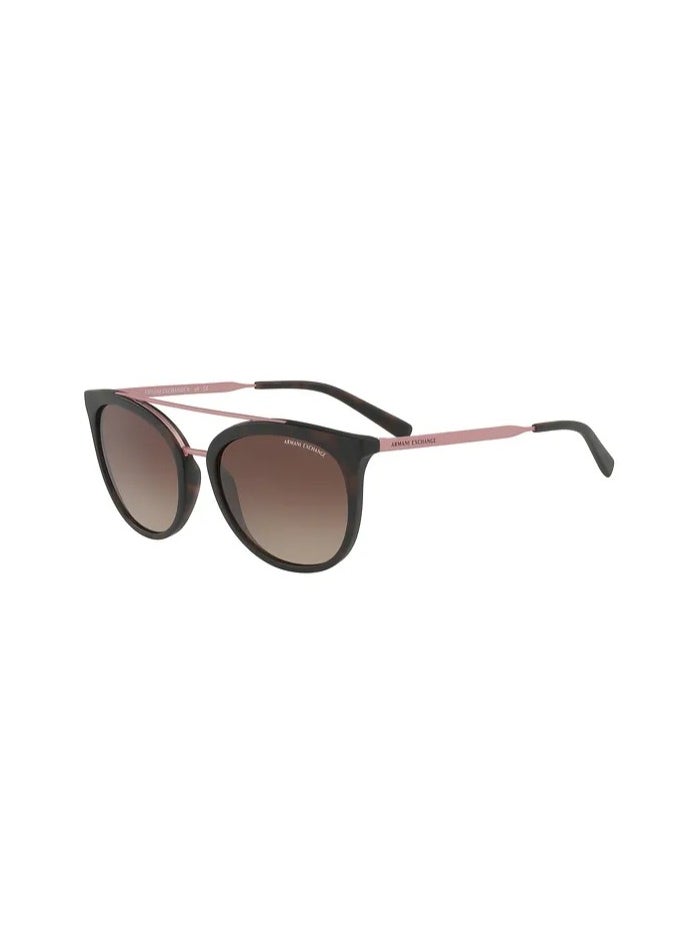 armani ARMANI Women Black Panto Sunglasses with Black lenses 0AX4068SF 802913 55 