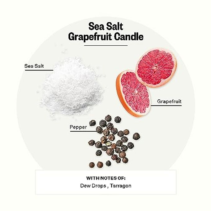 APOTHEKE Signature Scented Candles for Home, Sea Salt Grapefruit 10.5 oz Soy Wax, Non Toxic, Large Jar White Luxury Candle Gifts for Women & Men Pepper, Dew Drops, and Tarragon - Image 2