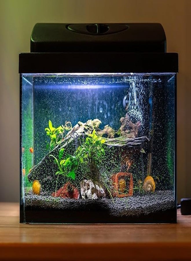 Scroll Store Aqua Soil for Planted Aquarium | Aquarium Substrate | Soil for Aquarium Plants (1L) - Image 4