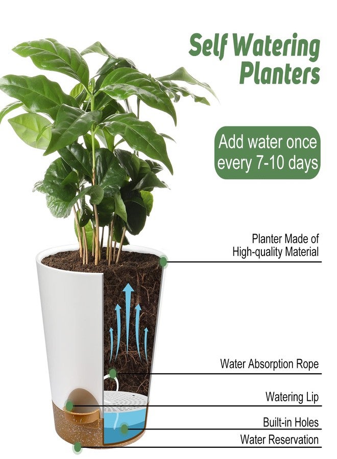 YNNICO Self Watering Indoor Flower Pots with Drainage Holes and Saucer, 6 White Flower Pots, (8", 7", 6.5", 6.5", 6.2", 5.1", 5.5", 5.5", 5.5" & 5" - Image 5
