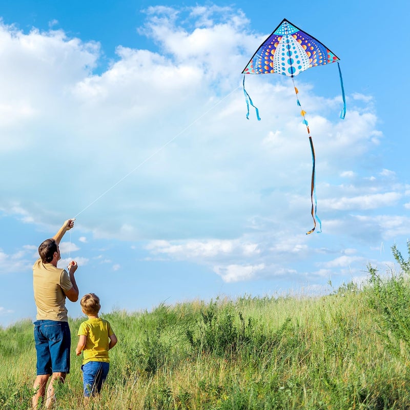 Honbo Large Delta Kite for Kids & Adults,Extremely Easy to Fly Kite for Beach Trip,String Line Included,with Colorful Tail,Perfect for Beginners - Image 3