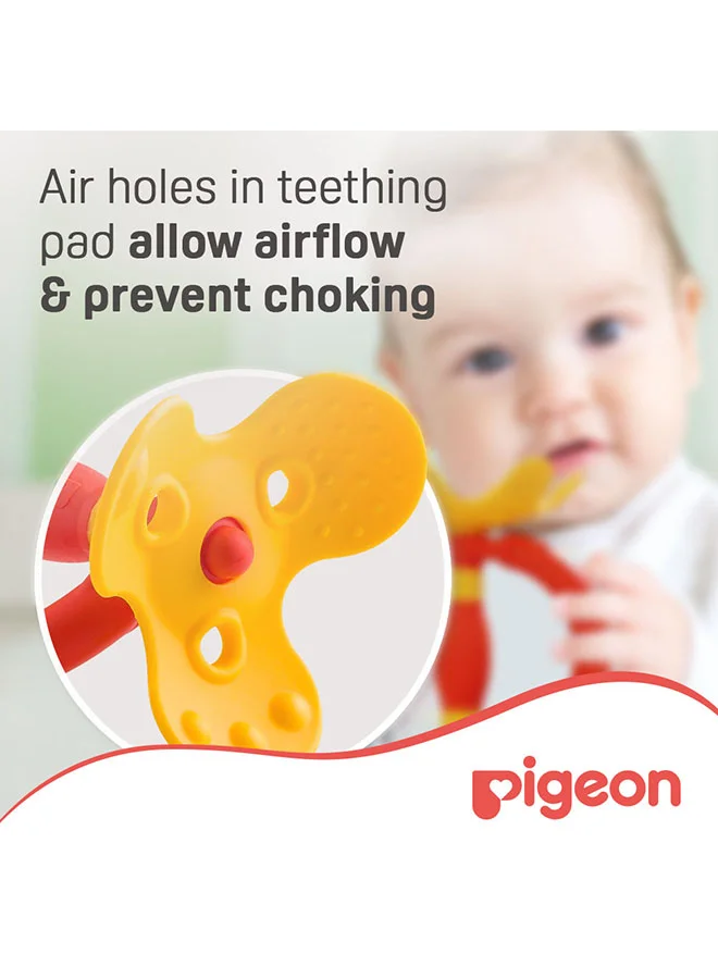 pigeon Training Teether Step 1