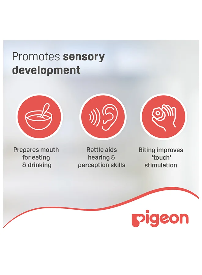 pigeon Training Teether Step 1